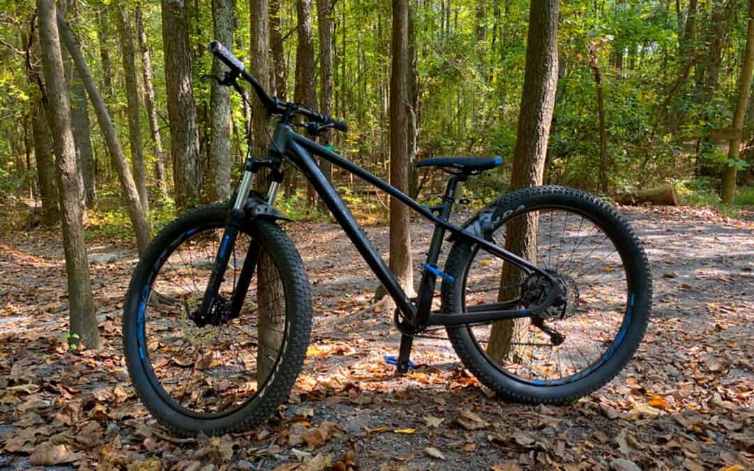 The Importance of Brain Breaks to Fix Your Thinking